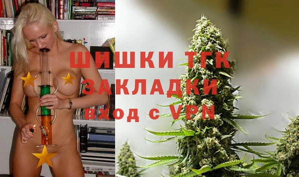 дживик Верхний Тагил