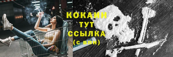 дживик Верхний Тагил